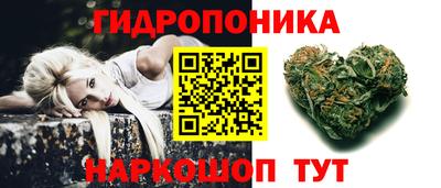 прущие грибы Лесосибирск