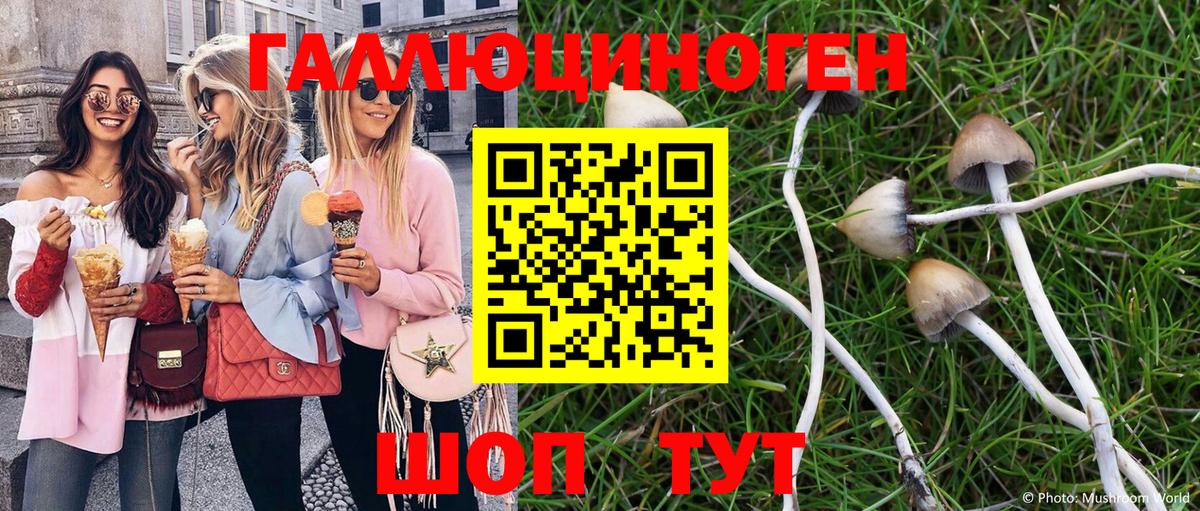 Йошкар-Ола  Псилоцибиновые грибы GOLDEN TEACHER  Вход с VPN 